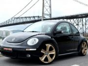 carrosdub-com-br-newbeetle-aro20-06