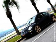 carrosdub-com-br-newbeetle-aro20-07