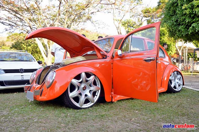 fusca-01