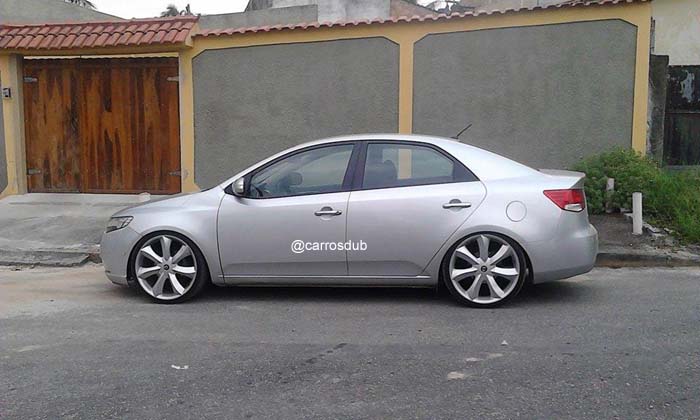 cerato-aro20-01