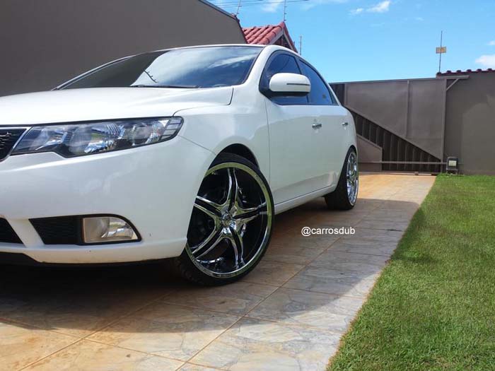 cerato-aro20-01