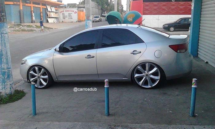 cerato-aro20-03