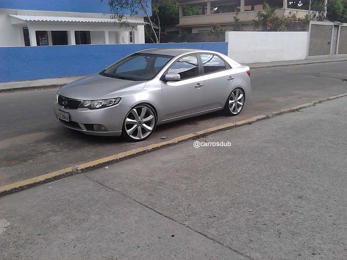 cerato-aro20-04