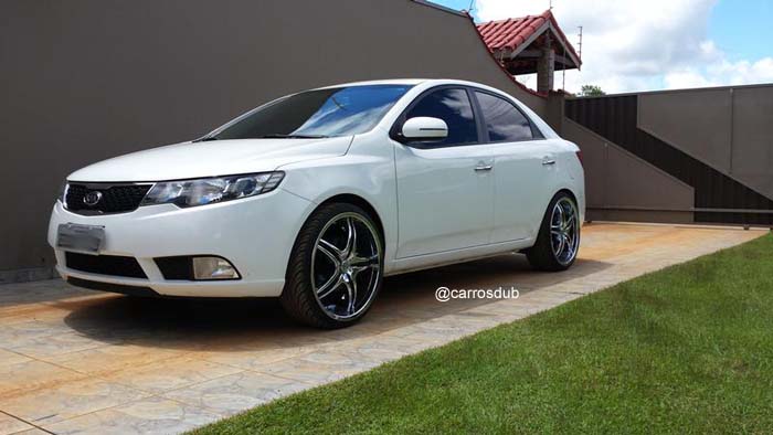 cerato-aro20-04