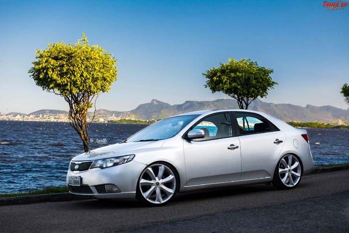 cerato-aro20-01