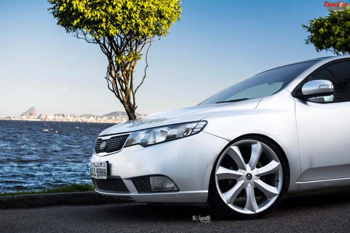 cerato-aro20-02