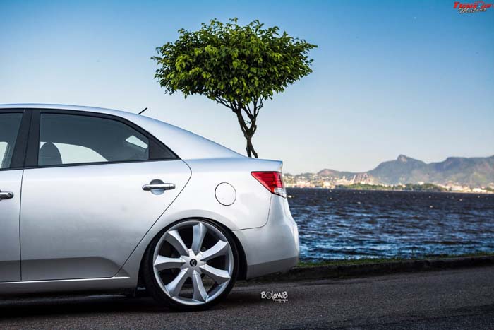 cerato-aro20-03