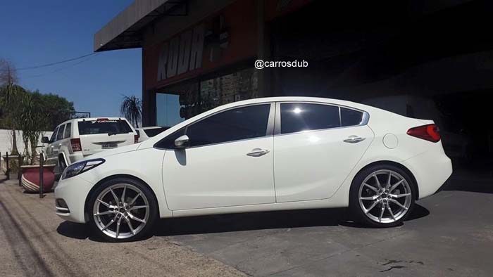 cerato-aro20-01