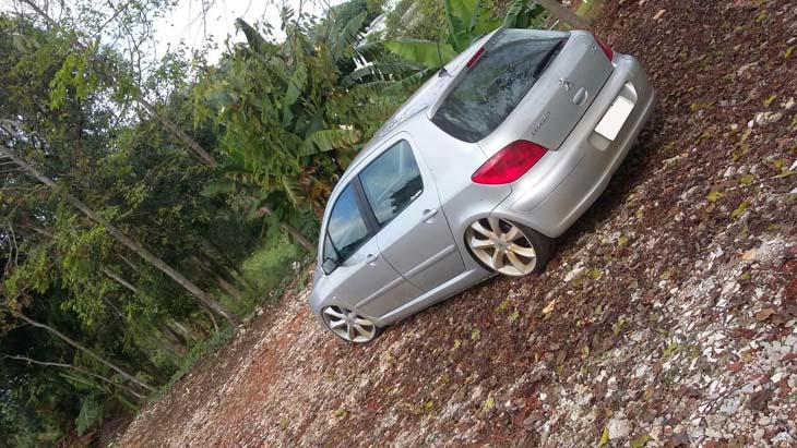 peugeot307-rebaixado-aro20-04