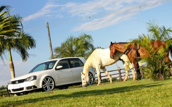 golf-rebaixado-aro20-05